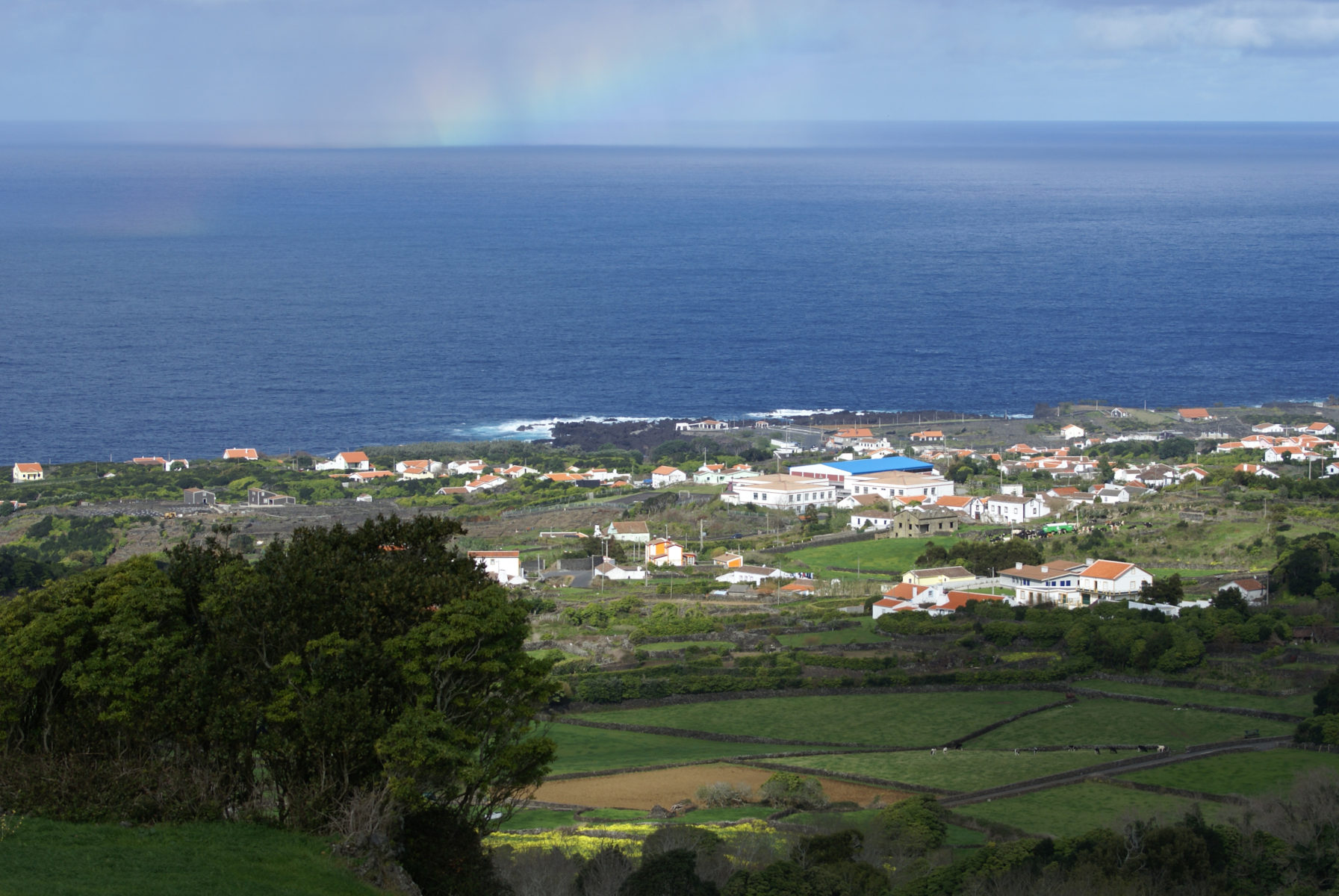 Biscoitos - Terceira, Açores