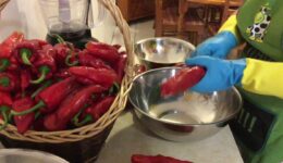 How to make Pimenta da Terra – A typical and traditional Azorean pepper sauce