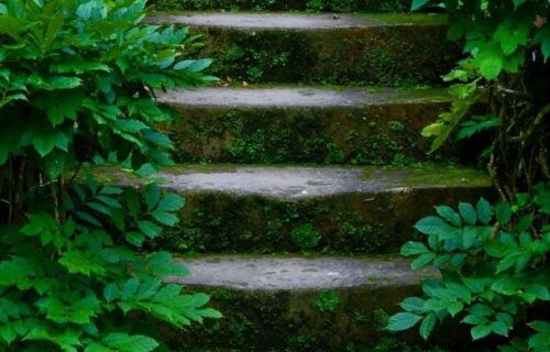 Recanto – Escadas – Parque Terra Nostra