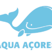 Aqua Açores – Whale Watching