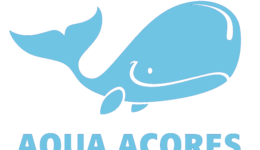 Aqua Açores – Whale Watching