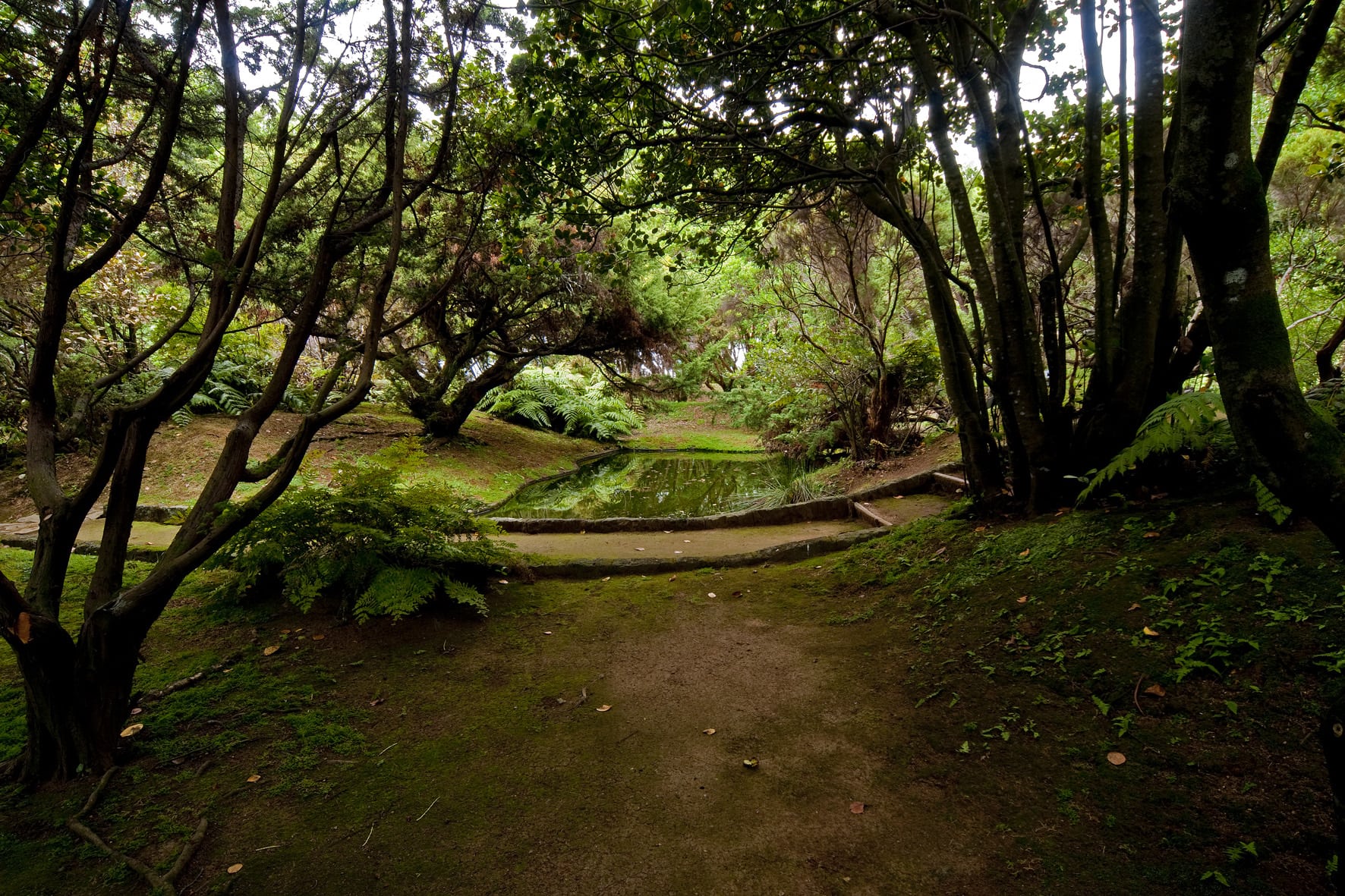 Jardim Botânico do Faial - Açores