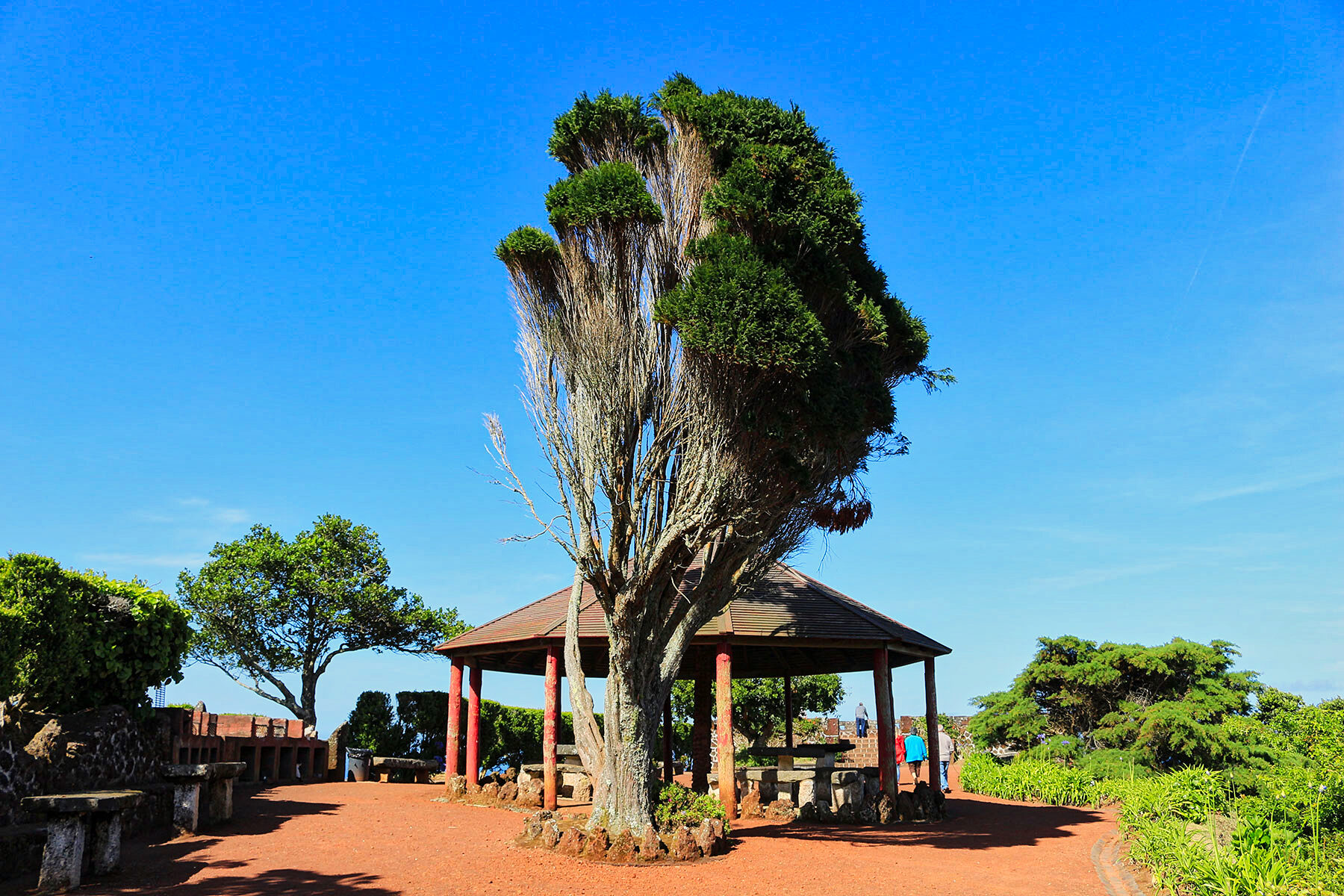 Miradouro da Ponta da Madrugada – Jardim – Nordeste