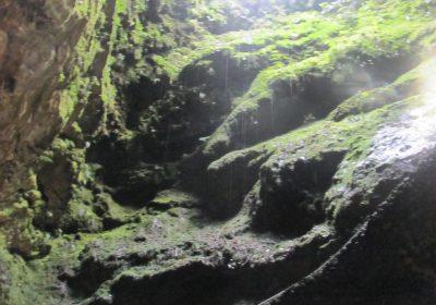 Algar do Carvão - Interior - Fotos - Terceira, Açores