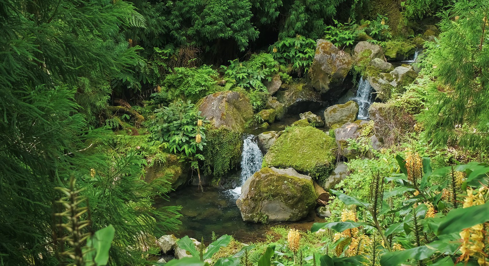 Parque Grená - Furnas - São Miguel - Açores