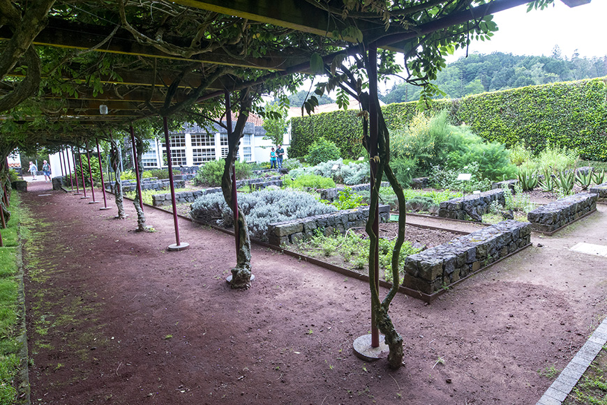 Jardim Botânico do Faial, Faial - Açores