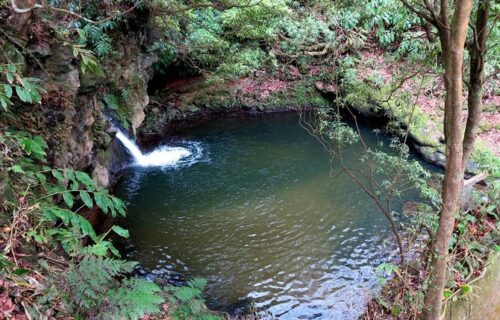 Half-day hike: mills and waterfalls in Ribeira Funda