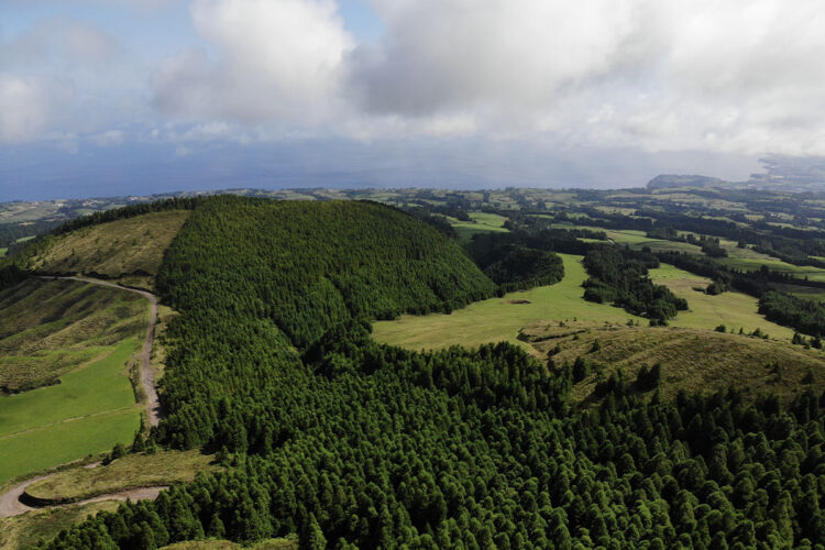 GreenZone Azores - Passeio e Experiência byAçores