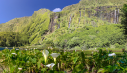 Ler artigo: Como é o clima / tempo na Ilha das Flores?